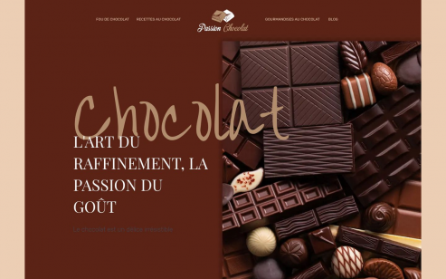 https://www.passion-chocolat.fr