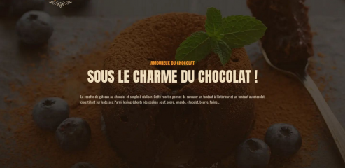 https://www.ladychocolat.fr